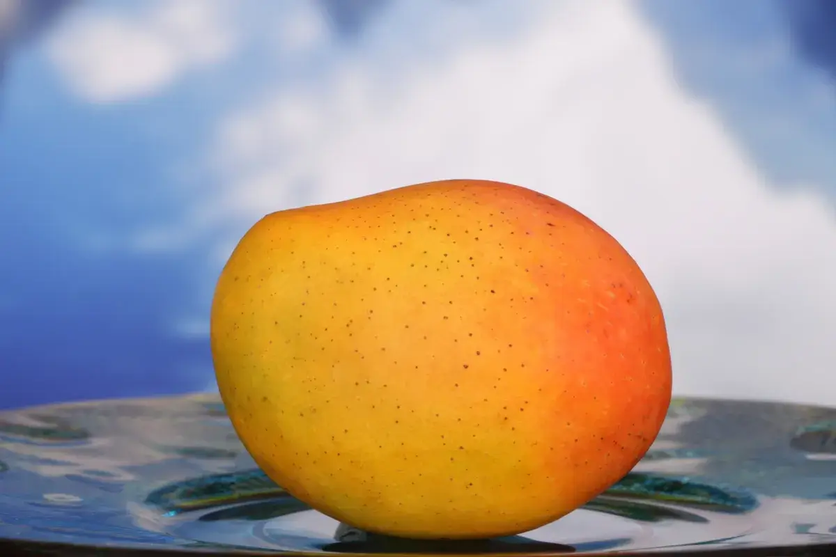 mango-tropical-fruit-with-background