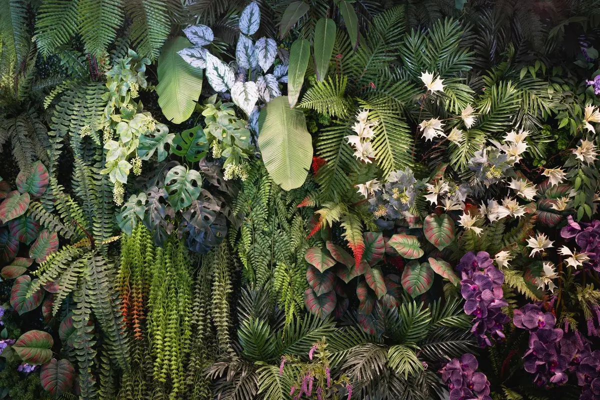 close-up-group-of-background-tropical