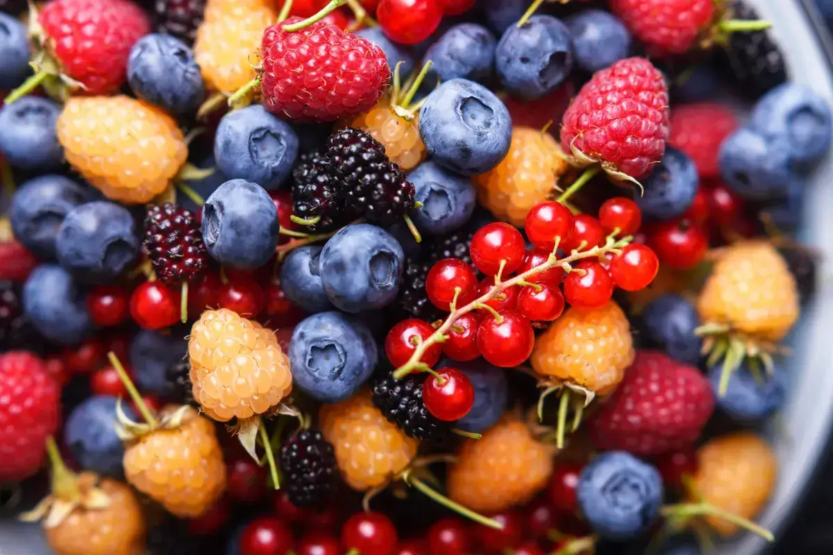 close-up-of-multicolored-mixed-summer