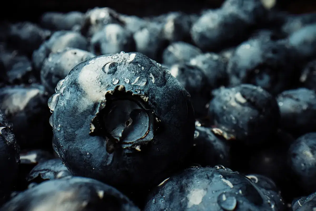 extreme-macro-blueberries-background