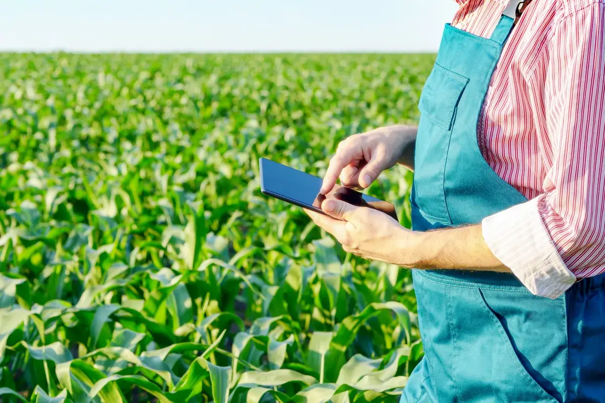 farmer-with-tablet-computer-inspecting
