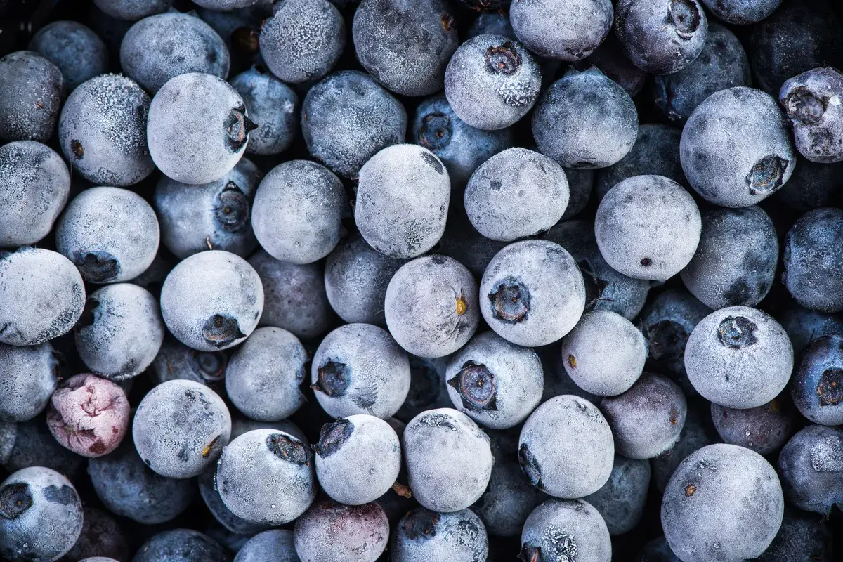 frozen-blueberry-fruits-close