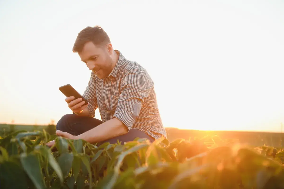 young-farmer-in-soybean-fields
